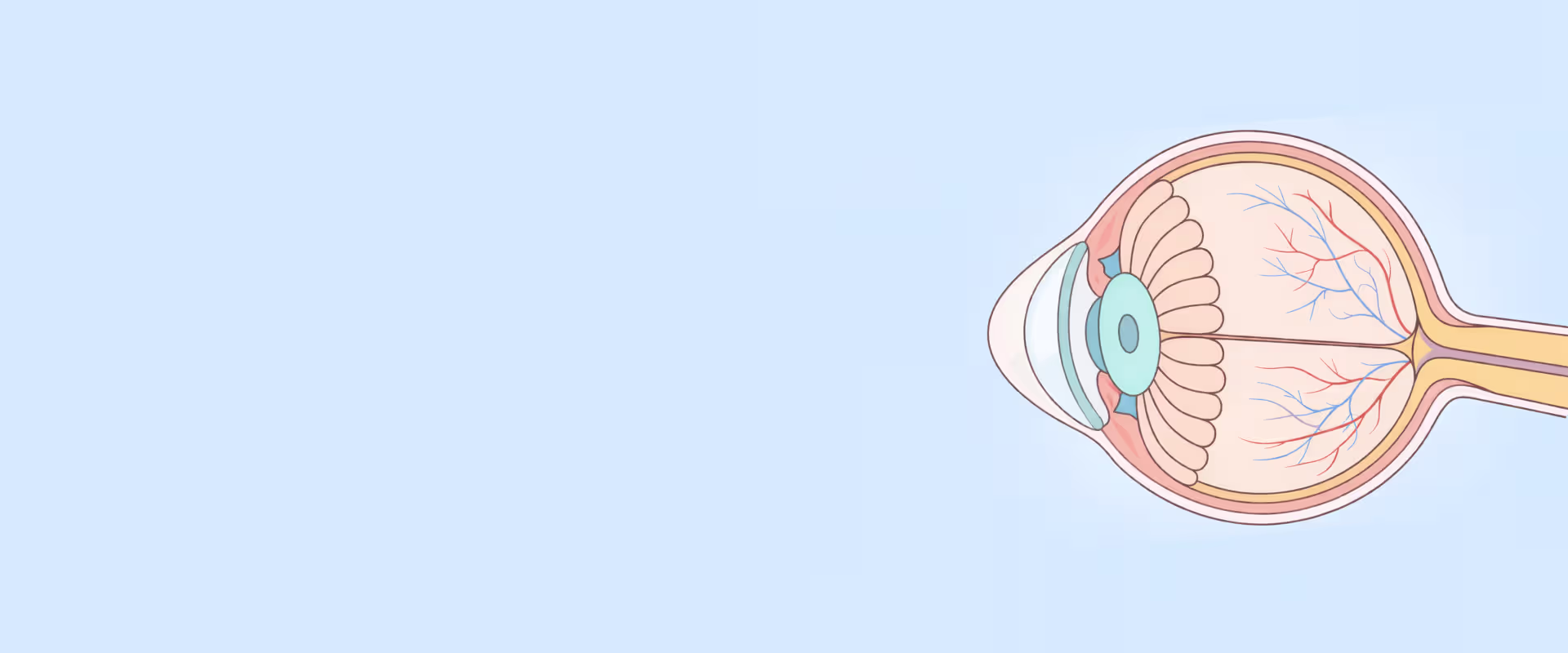 No Touch lazer uygulaması